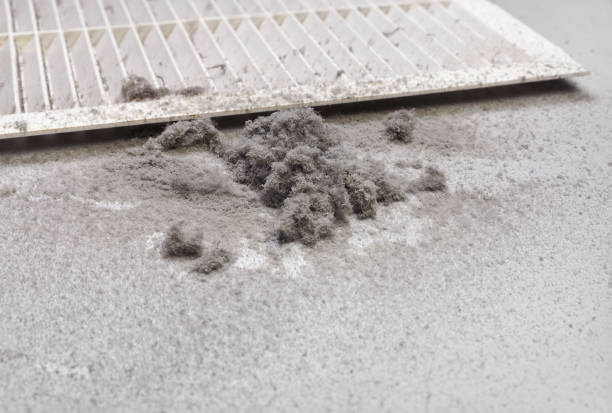 Best Affordable Duct Cleaning Services  in Pierceton, IN