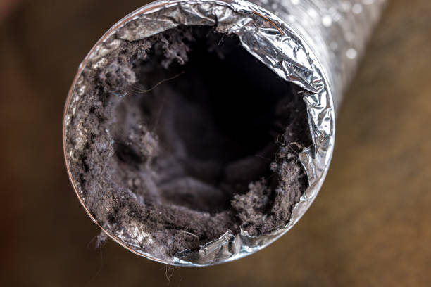 Best Air Duct Sanitizing Services  in Pierceton, IN